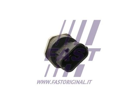 FT80062_2_1.JPG