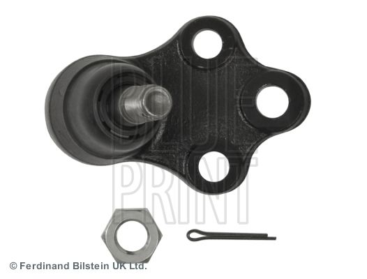 ADN18646_1.JPG