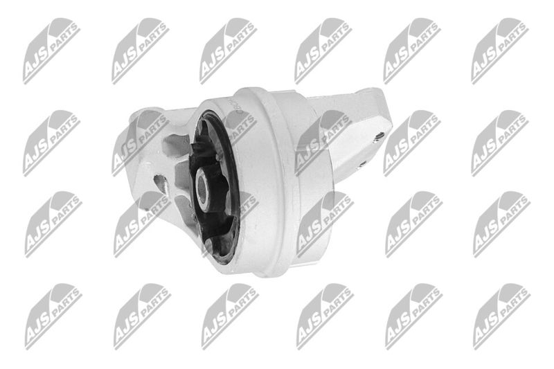 Paigutus, Mootor, NTY ZPS-CH-148