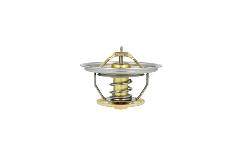 Termostat, chladivo 725373