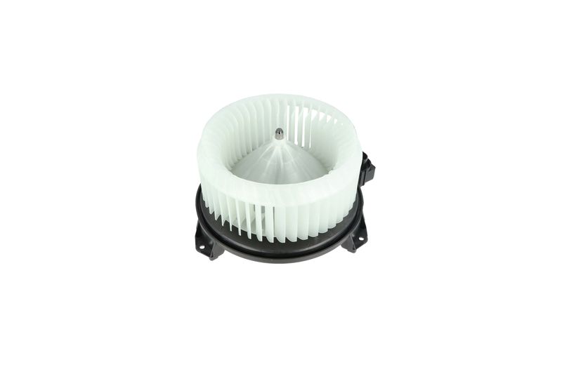 Salongipuhur, NRF 34244