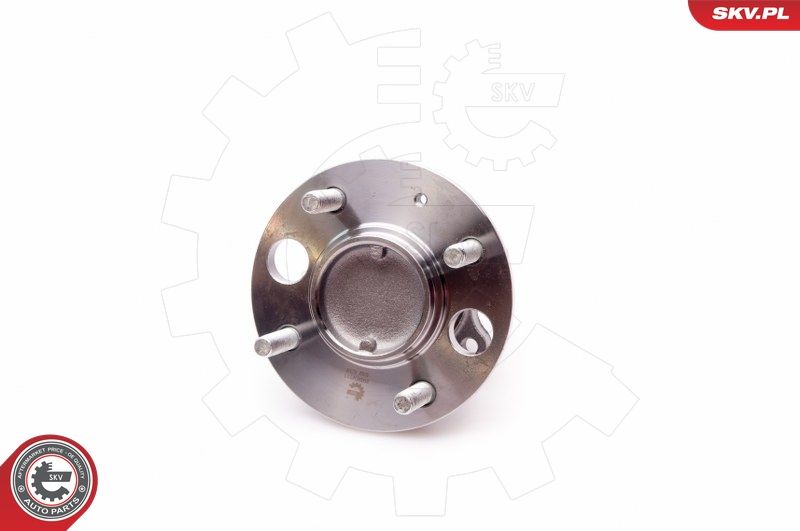 ESEN SKV 29SKV111 Wheel Bearing Kit