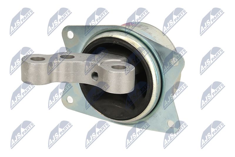 Paigutus, Mootor, NTY ZPS-PL-049