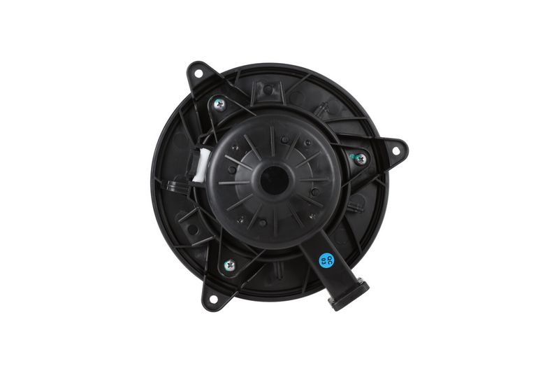 Prekė atitinka OEM kodą: 13263279
