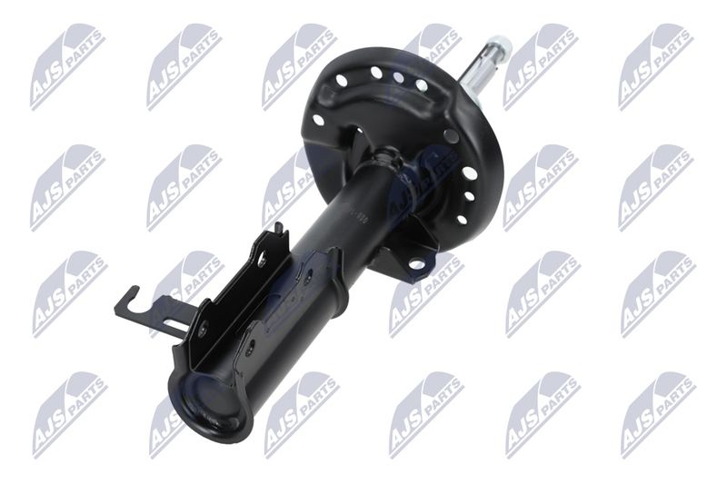 Amort, NTY A-PL-029