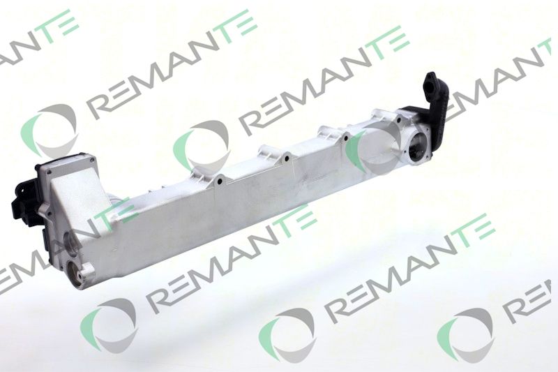 REMANTE 010-001-000029R EGR Module