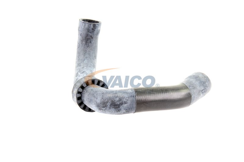 VAICO V30-2220 Radiator Hose