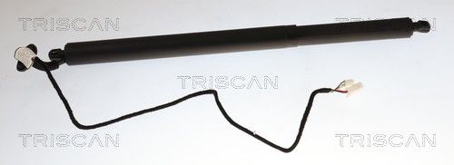 Gasfjeder, kuffert-/lastrum