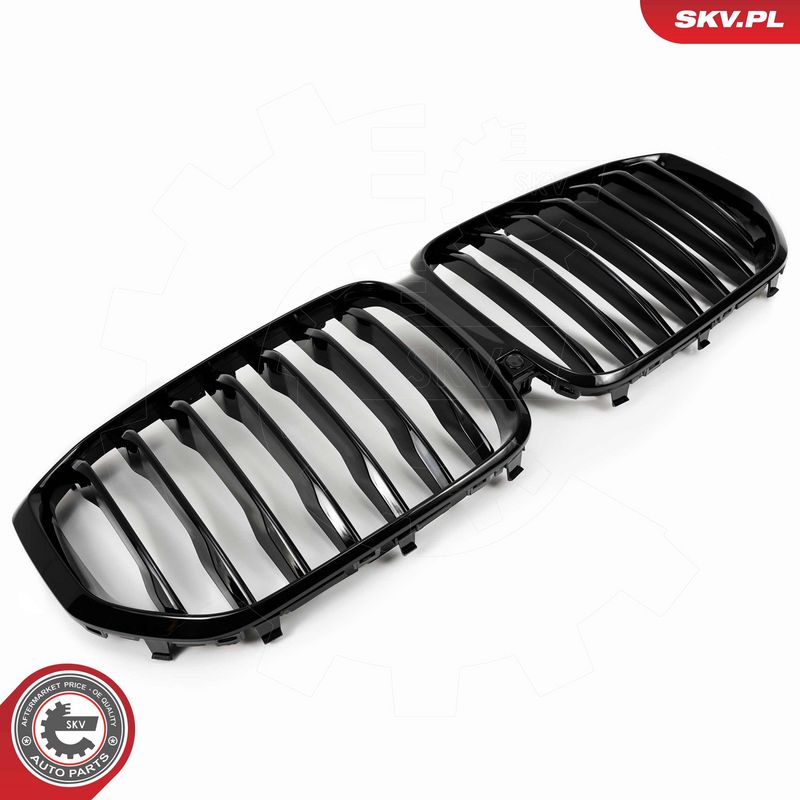 Radiaatorivõre, ESEN SKV 66SKV300