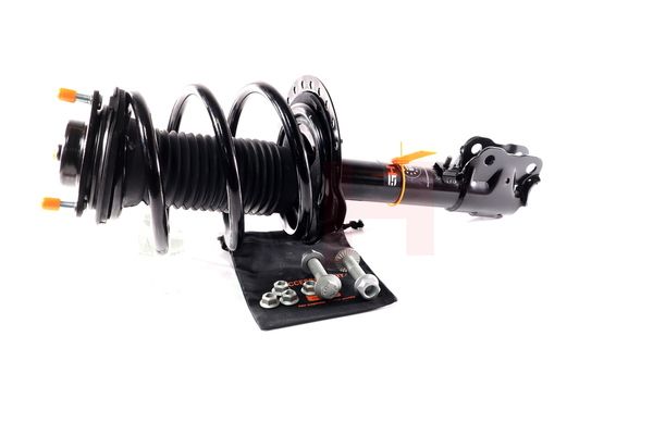 Vedruamort, GH GH-353057C01