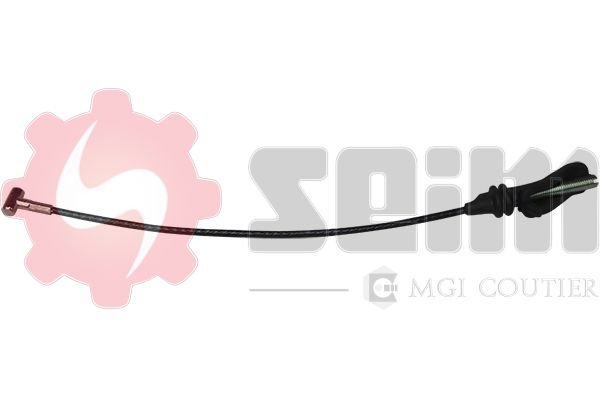 554113.JPG