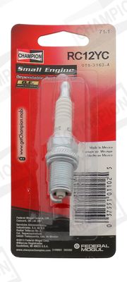 rc12yc-t06_1385857.JPG