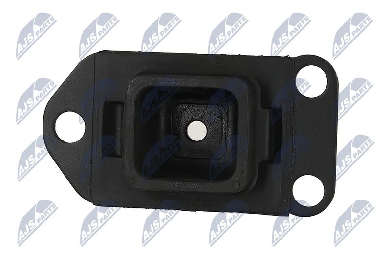Paigutus, Mootor, NTY ZPS-NS-130