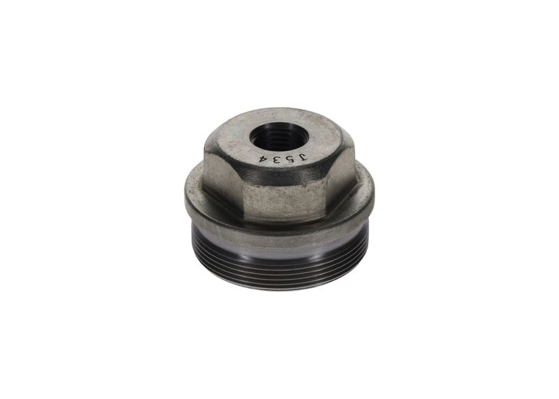 BOSCH F002D12534 Screw