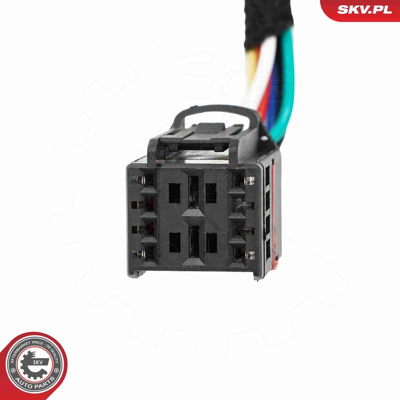 ESEN SKV 52SKV228 Electric Motor, tailgate
