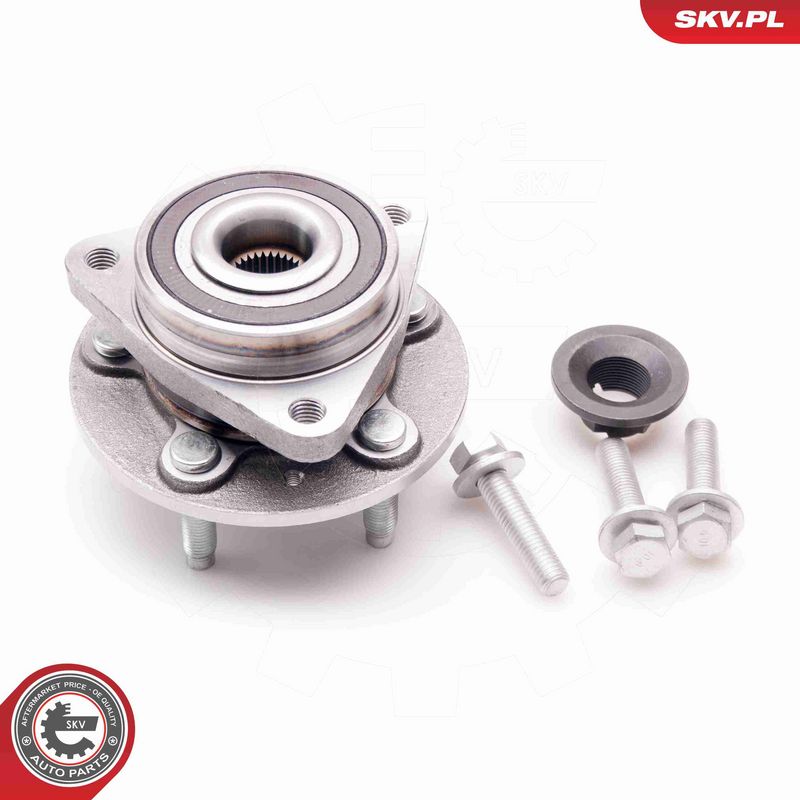 ESEN SKV 29SKV124 Wheel Bearing Kit