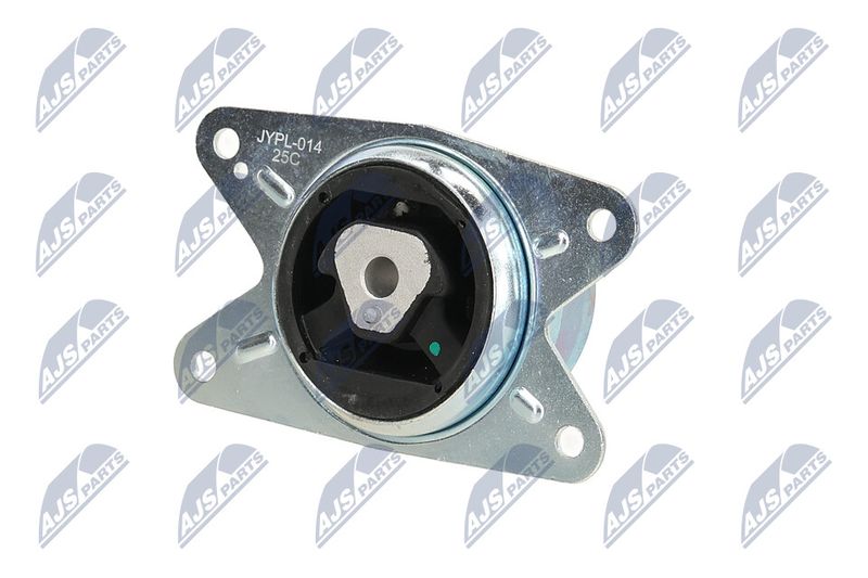 Paigutus, Mootor, NTY ZPS-PL-075