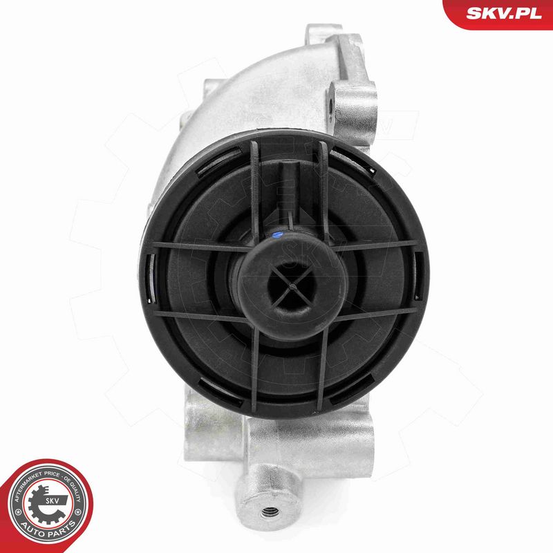ESEN SKV 14SKV257 EGR Valve