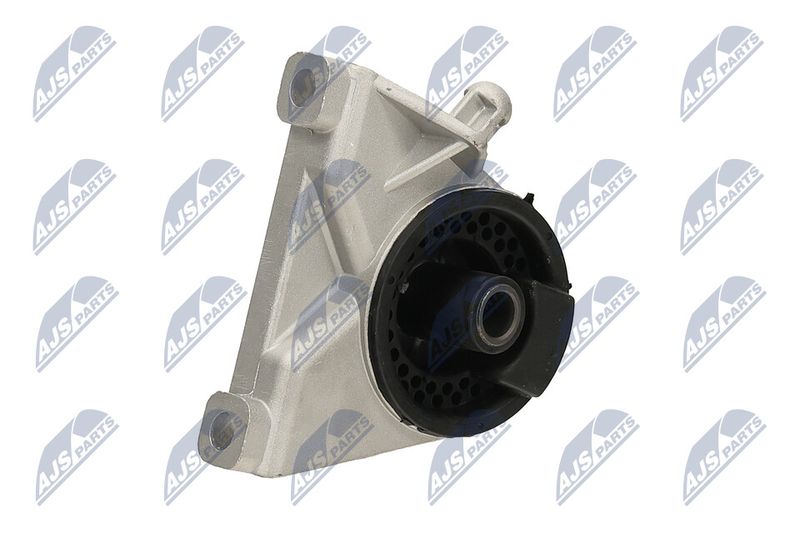 Paigutus, Mootor, NTY ZPS-PL-034