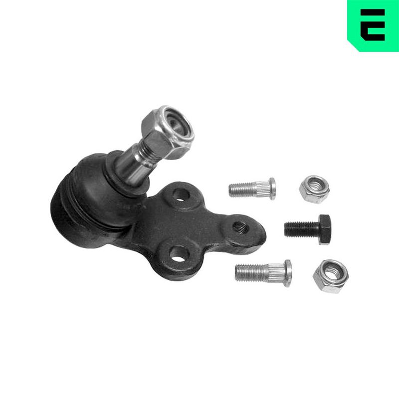 Kande-, juhtliigend,...