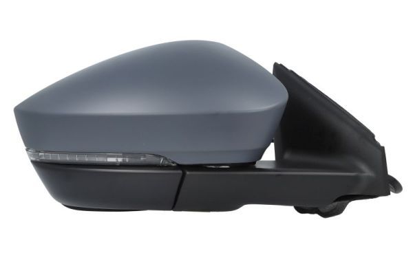 BLIC 5402-43-1926317P Exterior Mirror