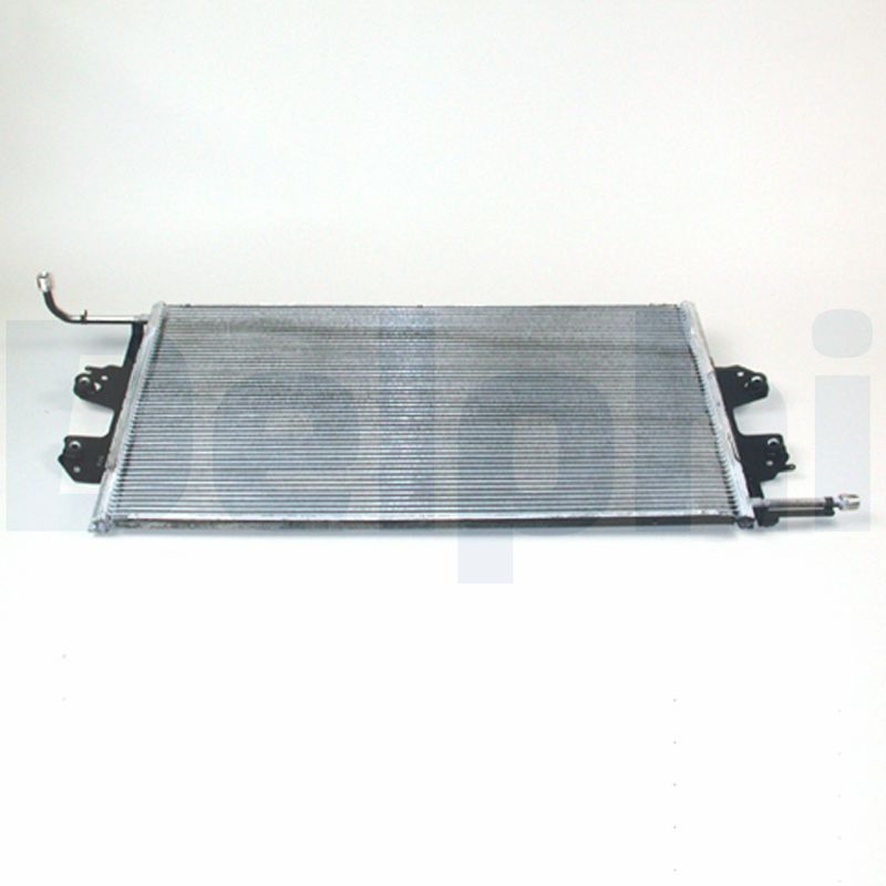 CF1049.JPG