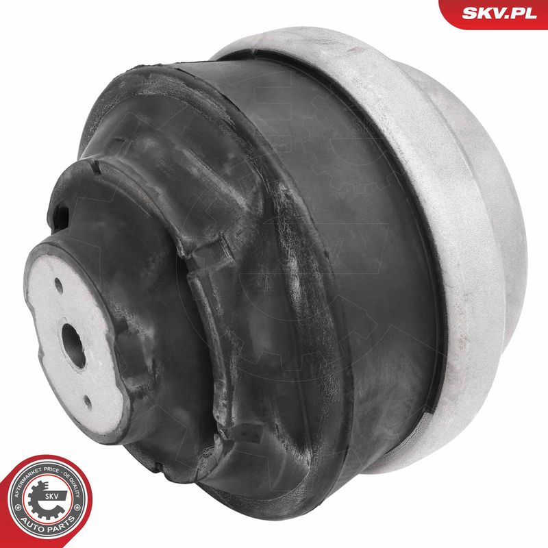 Paigutus, Mootor, ESEN SKV 75SKV003