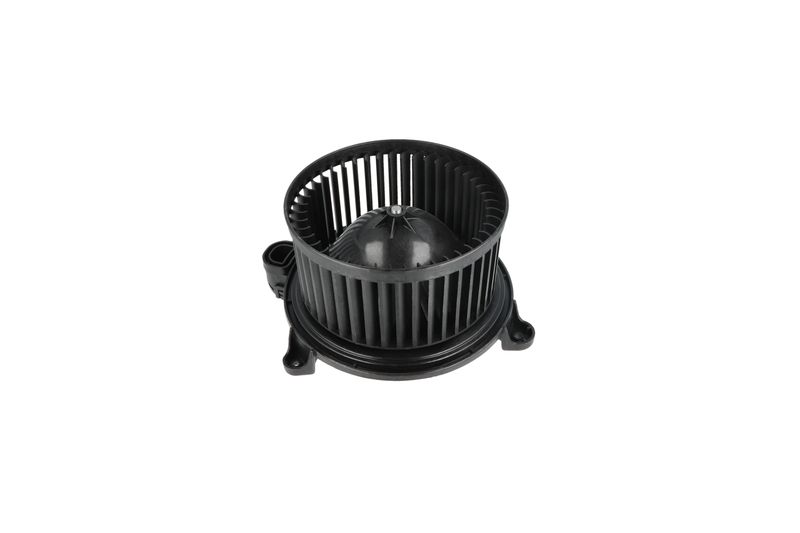 Salongipuhur, NRF 34365