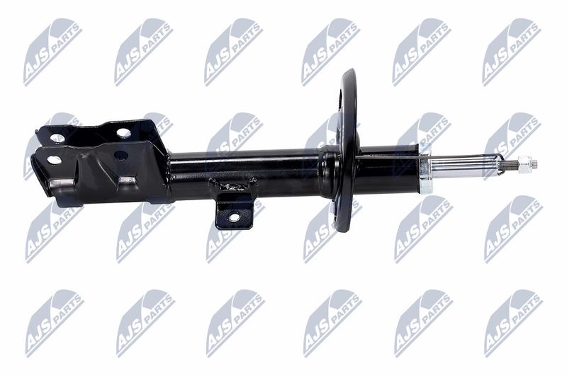 Amort, NTY A-CH-056