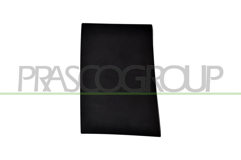 Listón embellecedor/protector, panel lateral