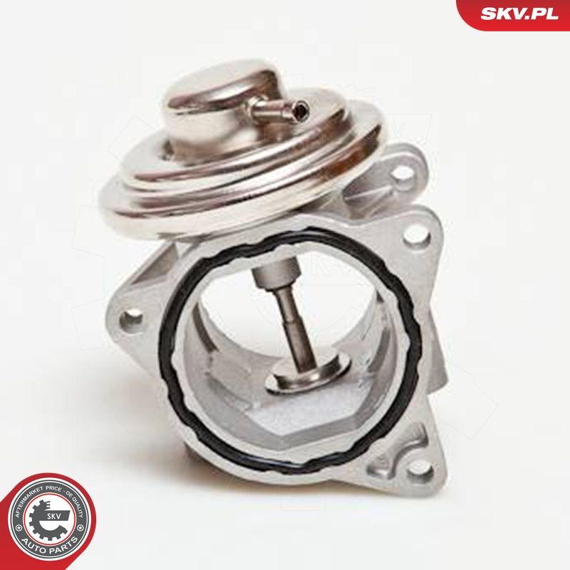 EGR-klapp, ESEN SKV 14SKV019