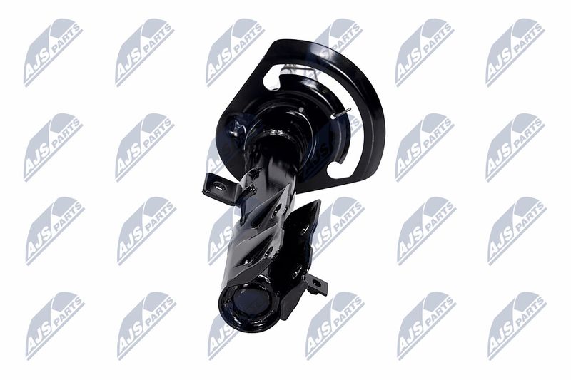 Amort, NTY A-CH-057