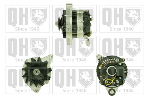 QH_QRA2183_GRUPPE.JPG