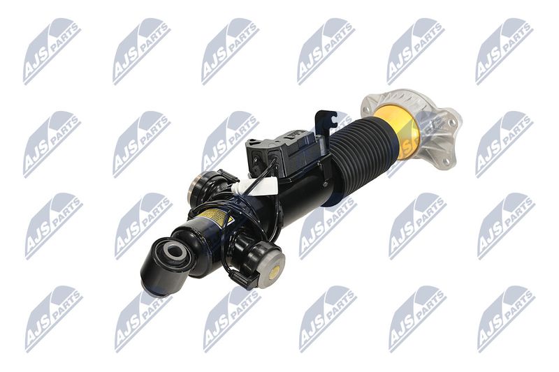Amort, NTY A-BM-084