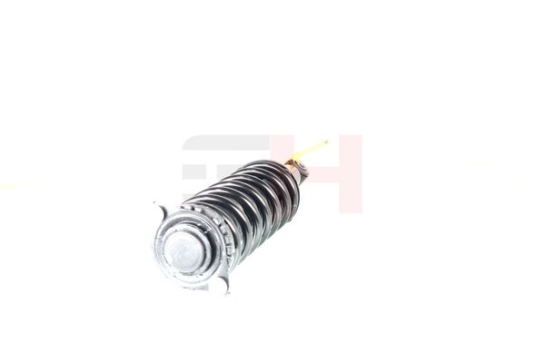 Vedruamort, GH GH-334403C01