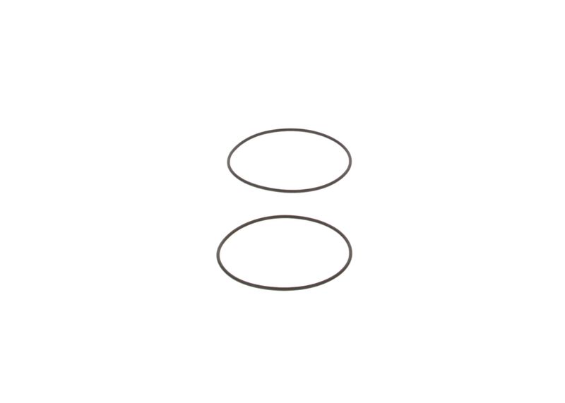 BOSCH 3130210005 Seal