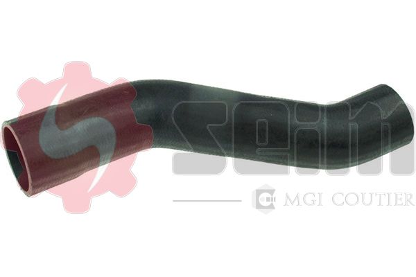 981334.JPG