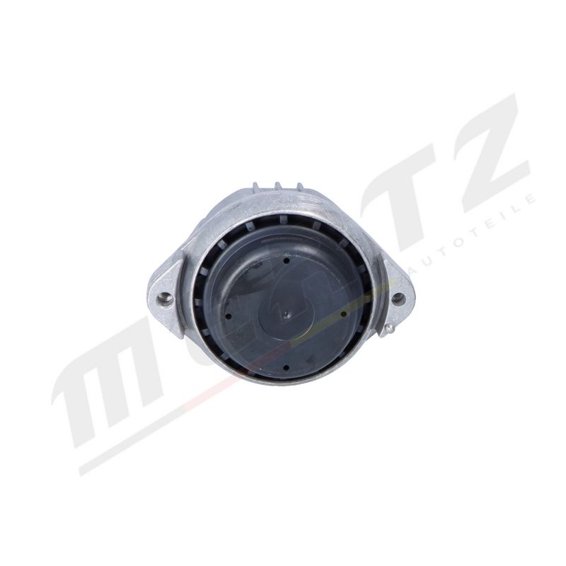MERTZ M-S5313 Mounting, engine