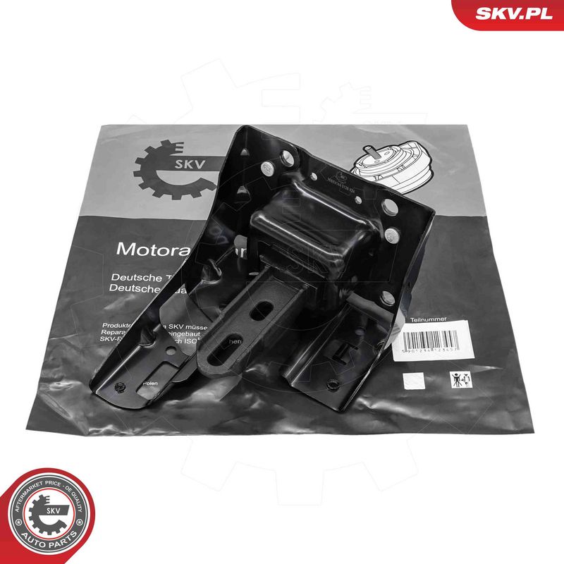 Prekės atitinka OEM kodą: 98 066 589 80
