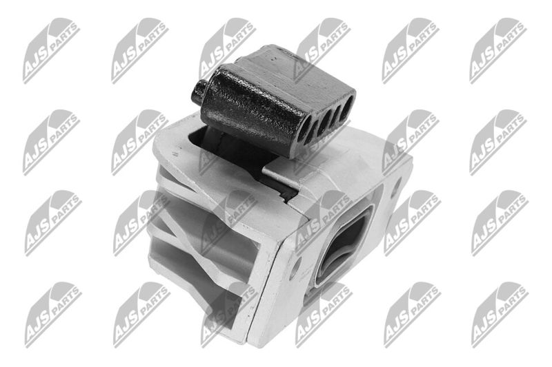 Paigutus, Mootor, NTY ZPS-CH-103