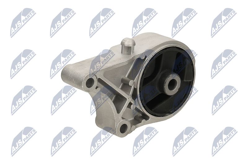 Paigutus, Mootor, NTY ZPS-PL-074