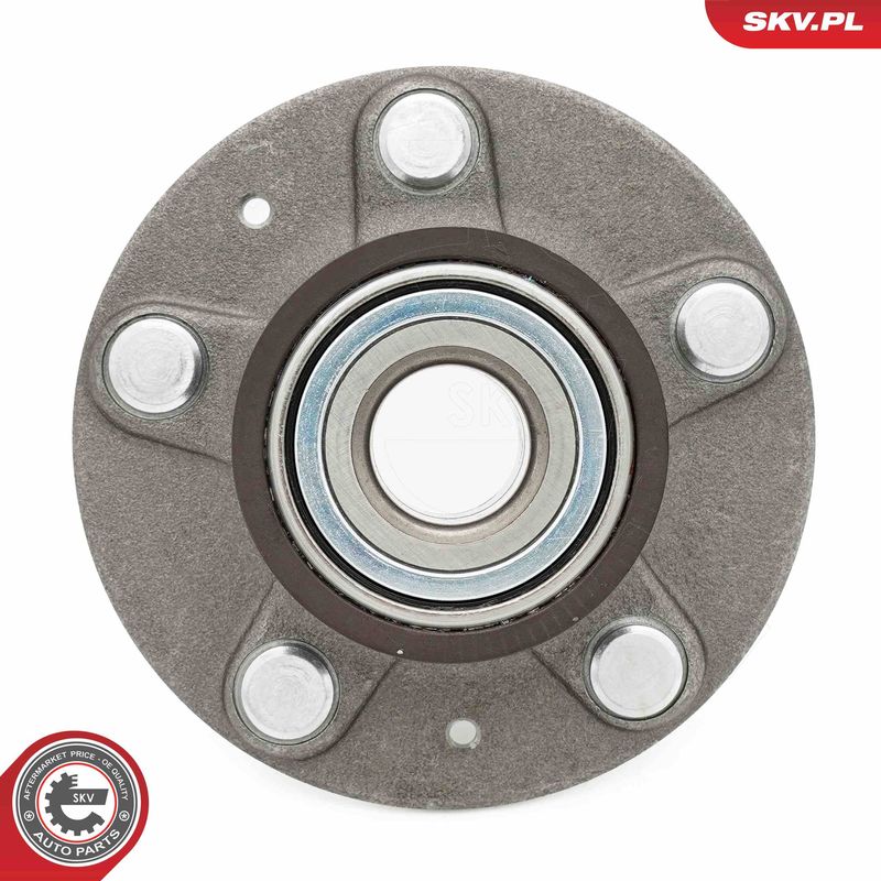 ESEN SKV 29SKV667 Wheel Bearing Kit