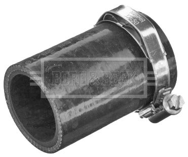 BTH1539_1800949.JPG