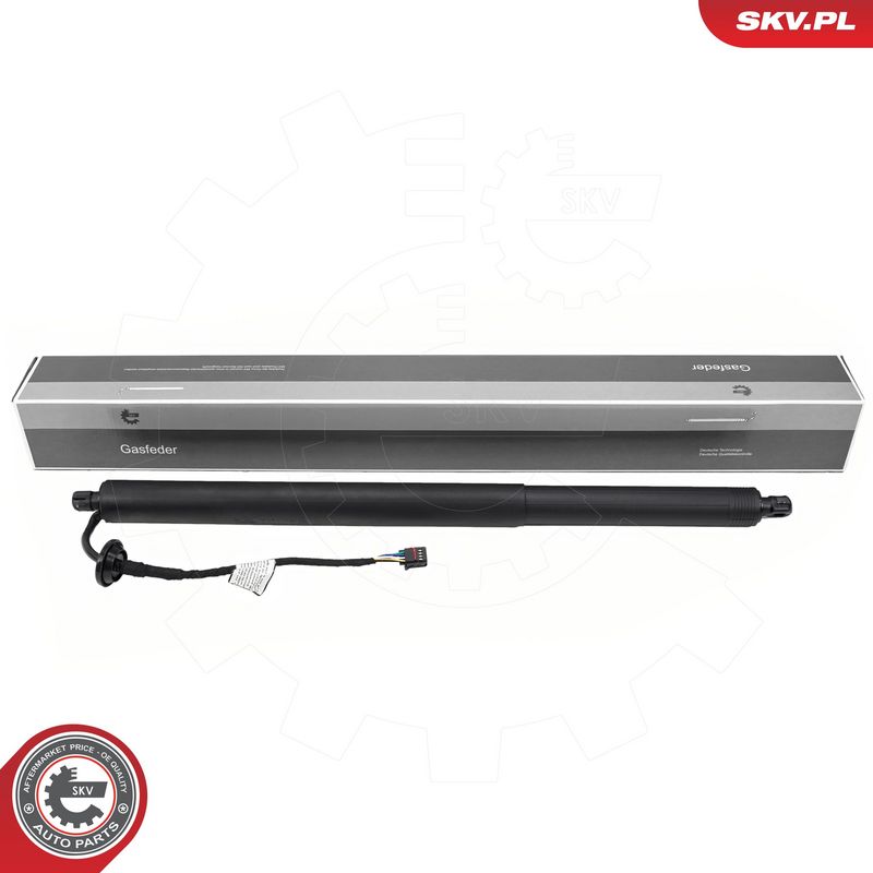 Elektrimootor, tagaluuk, ESEN SKV 52SKV173