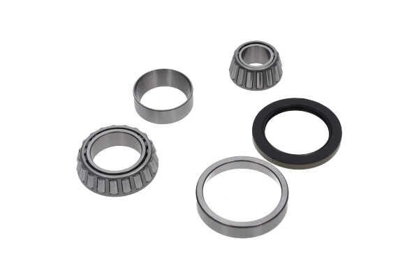 Kavo Parts WBK-10040 Rato guolio komplektas