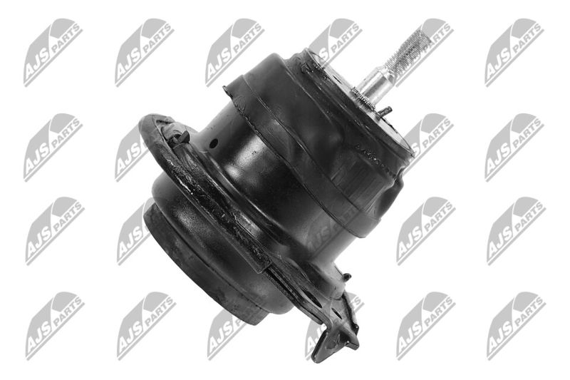 Paigutus, Mootor, NTY ZPS-CH-091