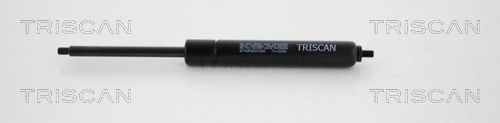 TRIS8710819207250.JPG