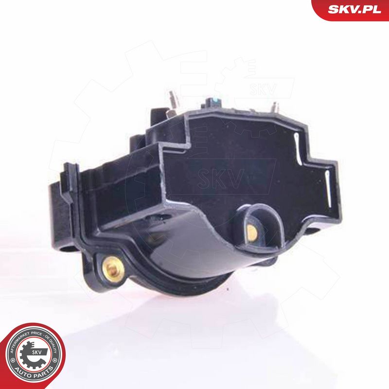 ESEN SKV 03SKV091 Ignition Coil