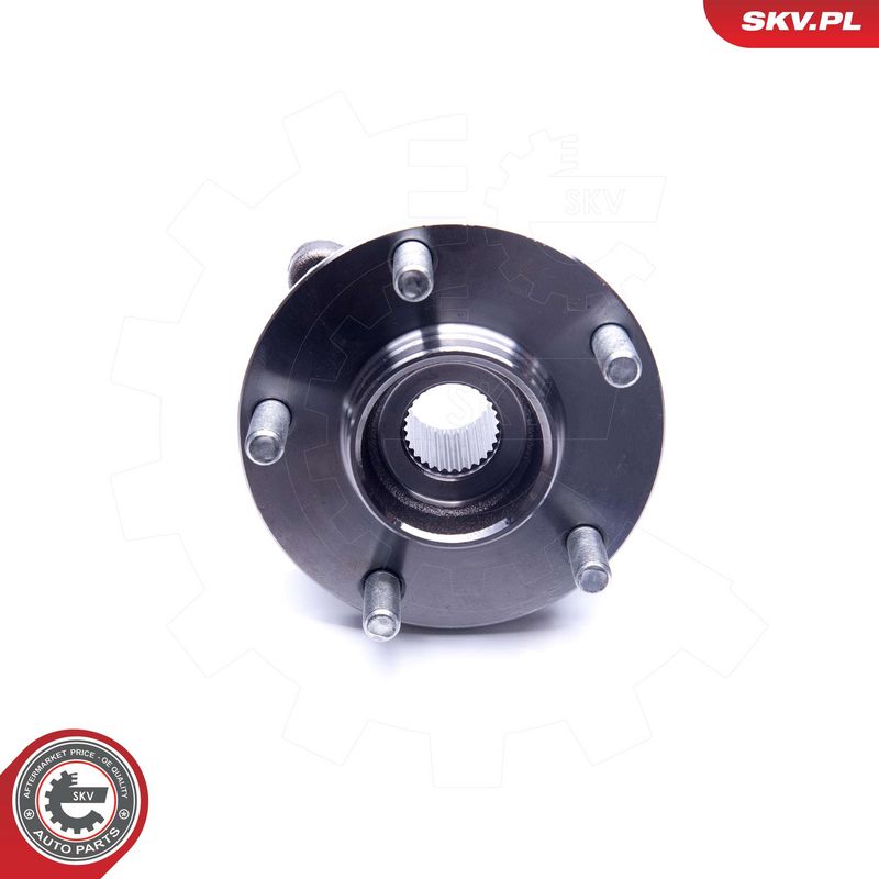 Rattalaagrikomplekt, ESEN SKV 29SKV233