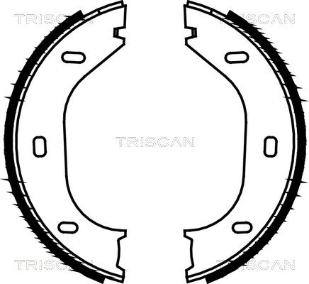 TRISCAN fékpofakészlet, rögzítőfék 8100 10290